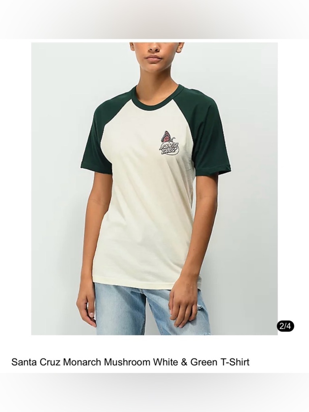 Santa Cruz Skateboard Tee